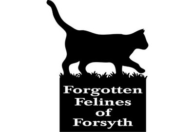 Forgotten Felines of Forsyth