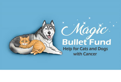 The Magic Bullet Fund